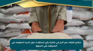ارتفاع تكلفة دعم الأرز في جاكرتا يثير تساؤلات حول قدرة الحكومة على السيطرة على السوق